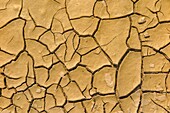 Drought illustration, cracked earth when the water dries up from lack of precipitation, blaye, gironde, france