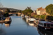 Flussschiff, der Hafen von Homps am Kanal Midi, Aude, Okzitanien, Frankreich