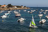 Leasure boats moored in the coast's point, ses oliveres beach, village where salvador dali lived, cadaques, costa brava, catalonia, spain