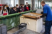 School tour to a cultural project for the eighth grade students of the victor hugo middle school of rugles, factory of the manufacture bohin, living conservatory of the needle and pin, saint-sulpice-sur-risle, orne (61), france