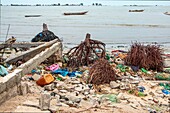 Rising saltwater on the beaches of the river's lagoon destroying houses trees (roots of coconut palms) in the middle of the plastic wastes, saint-louis-du-senegal, senegal, western africa