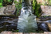 Weir on the river, chambray, mesnils-sur-iton, iton river valley, eure, normandy, france