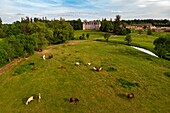 Horse farm at the agricultural school, chateau de chambray, mesnils-sur-iton, iton river valley, eure, normandy, france
