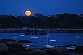 Roter Mondaufgang über Sainte-Anne Ay, Renote Island Point, Tregastel, Rosa Granitküste, Cotes-d'Armor, Bretagne, Frankreich