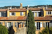 Back facades of houses on the cours mirabeau, aix-en-provence, bouches-du-rhone, france