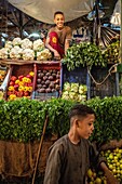 Children at their fruit and vegetable stand, el dahar market, popular quarter in the old city, hurghada, egypt, africa