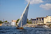 Ägyptische Feluke, traditionelles Boot auf dem Nil, luxor, ägypten, afrika