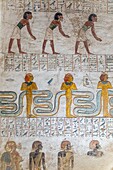 Bas-relief and frescoes painted in bright colors, tomb of the pharaoh merenptah, valley of the kings where the hypogeum of many pharaohs of the new empire can be found, luxor, egypt, africa