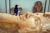 Detail of the pharaoh's faces, granite colossus of ramses ii, 10 metres long, mit rahina open-air museum, listed as a world heritage site by unesco, cairo, egypt, africa