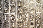Ägyptische Hieroglyphen, figurative heilige Schriften, das Grab von Kagemni, Wesir während der Herrschaft von König Teti, Saqqara Nekropole, Region Memphis, ehemalige Hauptstadt des alten Ägypten, Kairo, Ägypten, Afrika