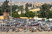 Abandoned car dump at the foot of the pyramids of giza, cairo, egypt, africa