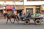 Marktbauer und seine Familie auf dem Weg zum Markt mit seinem Pferd und einem Anhänger voller Gemüse, Kairo, Ägypten, Afrika
