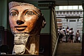 Painted limestone sculpture of the head of queen hatshepsut of the 18th dynasty, egyptian museum of cairo devoted to egyptian antiquity, cairo, egypt, africa