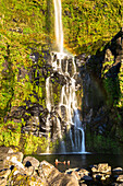 Man floating in the small lake of the Poco do Bacalhau waterfall during sunset, Fajal Grande, Lajes das Flores municipality, Flores Island (Ilha das Flores), Azores archipelago, Portugal, Europe