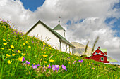 Traditional church of Elduvik in a blossomed meadow, Eysturoy island, Faroe islands, Denmark, Europe