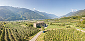 Landstraße und Bauernhof umgeben von Apfelplantagen, Valtellina, Provinz Sondrio, Lombardei, Italien