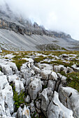 Uralte Felsen und Steine in der Nähe des geologischen Fossiliengebiets von Orti della Regina, Brenta-Dolomiten, Trentino-Südtirol, Italien