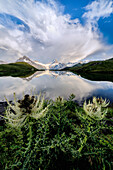 Mountains reflected in Bachalpsee lake surrounded by flowering plants, Grindelwald, Bernese Oberland, Bern Canton, Switzerland