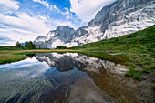 Wellhorn, das sich im Alpensee am Grossen Scheideggpass spiegelt, Grindelwald, Berner Alpen, Kanton Bern, Schweiz