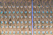 Aerial view of white sunbeds in a row on empty sand beach in summer, Vieste, Foggia province, Gargano, Apulia, Italy