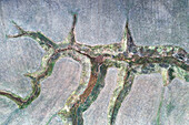Cracks in the ground in the so called Fosso dei Mergani from above, Pian Grande, Castelluccio di Norcia, Umbria, Italy
