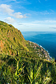 Blick auf das Küstendorf Paul Do Mar von der grünen Landschaft auf den darüber liegenden Bergen, Calheta, Insel Madeira, Portugal
