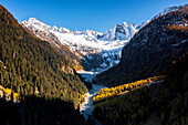 Bunte Lärchen im Herbst am Fuße der majestätischen, schneebedeckten Sciore-Berge, Val Bregaglia, Graubünden, Schweiz
