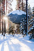 Winter sun over the futuristic UFO shaped room set among trees in the snowy forest, Tree hotel, Harads, Lapland, Sweden