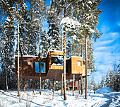 Klarer Winterhimmel über dem Holzhaus mit Panoramafenstern inmitten verschneiter Bäume, Tree Hotel, Harads, Lappland, Schweden
