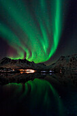 Northern lights reflection, Nordland, Lofoten Islands, Norway