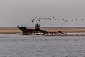 Walvis bay; Swakopmund; Namibia; Southern Africa