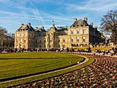 Luxembourg garden and palace, senate, 6th arrondissement, (75) paris, france, europe