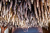 Curing andouille in the chimney stack, house of andouille, maison rivalan quidu, guemene sur scorff, morbihan, brittany