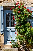 Flowery house, flavigny sur ozerain, (21) cote-d'or, burgundy, france