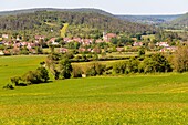 Landscape around vezelay, village of asquins, village and eternal hill of vezelay, (89) yonne, bourgundy, france