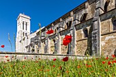 Saint mary magdalene basilica, vezelay, (89) yonne, bourgundy, france