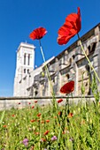 Saint mary magdalene basilica, vezelay, (89) yonne, bourgundy, france