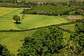 View from the village and eternal hill of vezelay, (89) yonne, bourgundy, france