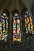 Stained-glass windows, notre dame de l'epine basilica of evron, (53) mayenne, pays de la loire