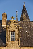 Chateau de bourgon, montourtier, (53) mayenne, pays de la loire
