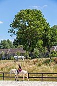 Das Maison du cheval boulonnais, das den boulonnaiser Pferden gewidmet ist, Bauernhof ferme de suze, samer, (62) pas-de-calais, frankreich