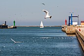 Hafen von boulogne sur mer, (62) pas-de-calais, frankreich