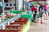 Fish market, boulogne sur mer, (62) pas-de-calais, france