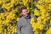 Julien cavatore, cavatore nursery, producer of mimosas, bormes les mimosas