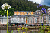 Blick auf das Dorf Viveiro und die Wohnhäuser von Viveiro. Lugo, Galicien, Spanien.
