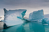 Skontorp-Bucht, Paradies-Bucht, Antarktis. Antarktis.