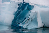 Detail of an iceberg, Skontorp cove, Paradise Bay, Antarctica. Antarctica.
