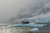 Plancius cruise ship in Neko Harbour, Antarctica.