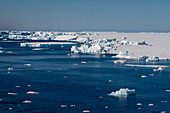 Eisberge, Larsen B-Schelfeis, Weddell-Meer, Antarktis.