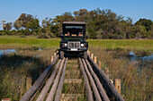 Ein Safarifahrzeug überquert eine Holzbrücke im Abu Camp. Abu Camp, Okavango-Delta, Botsuana.